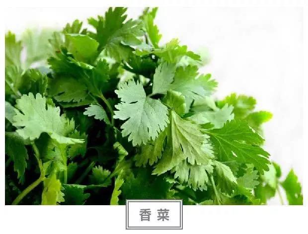 学习西餐必不可少调料味_西安西餐培训学校