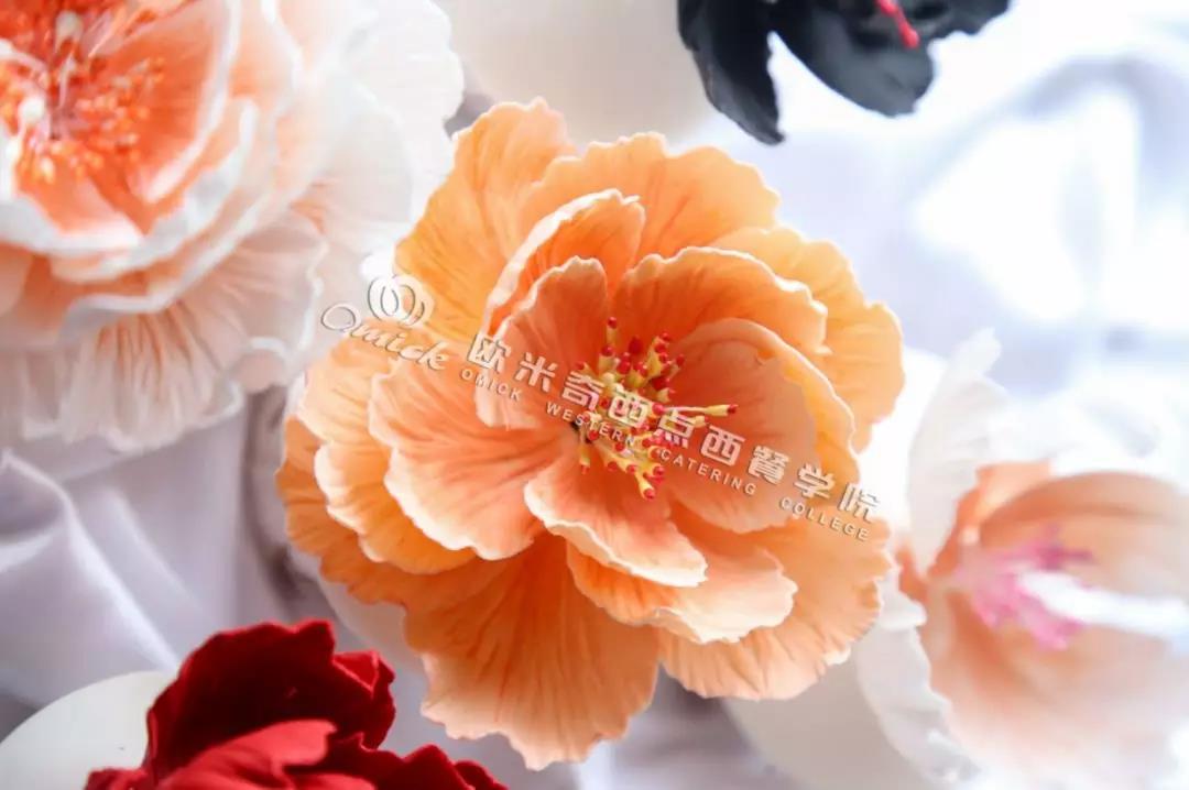 想创业，选哪个行业好？_西安欧米奇西点培训